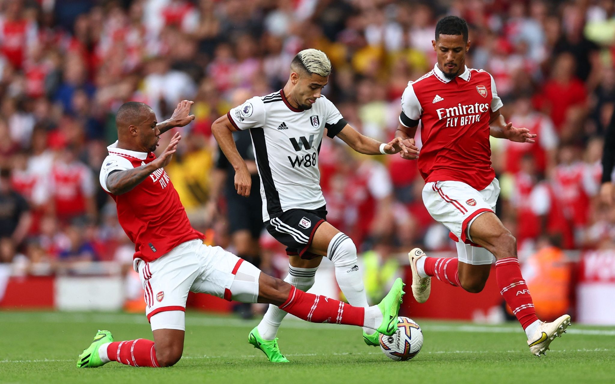 马尔不同 马尔不同